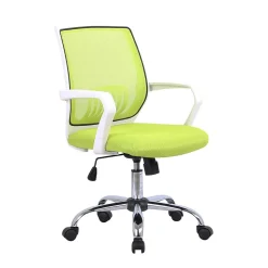 Armlehnen Büro-Drehstuhl in Hellgrün & Weiß - Lianessa