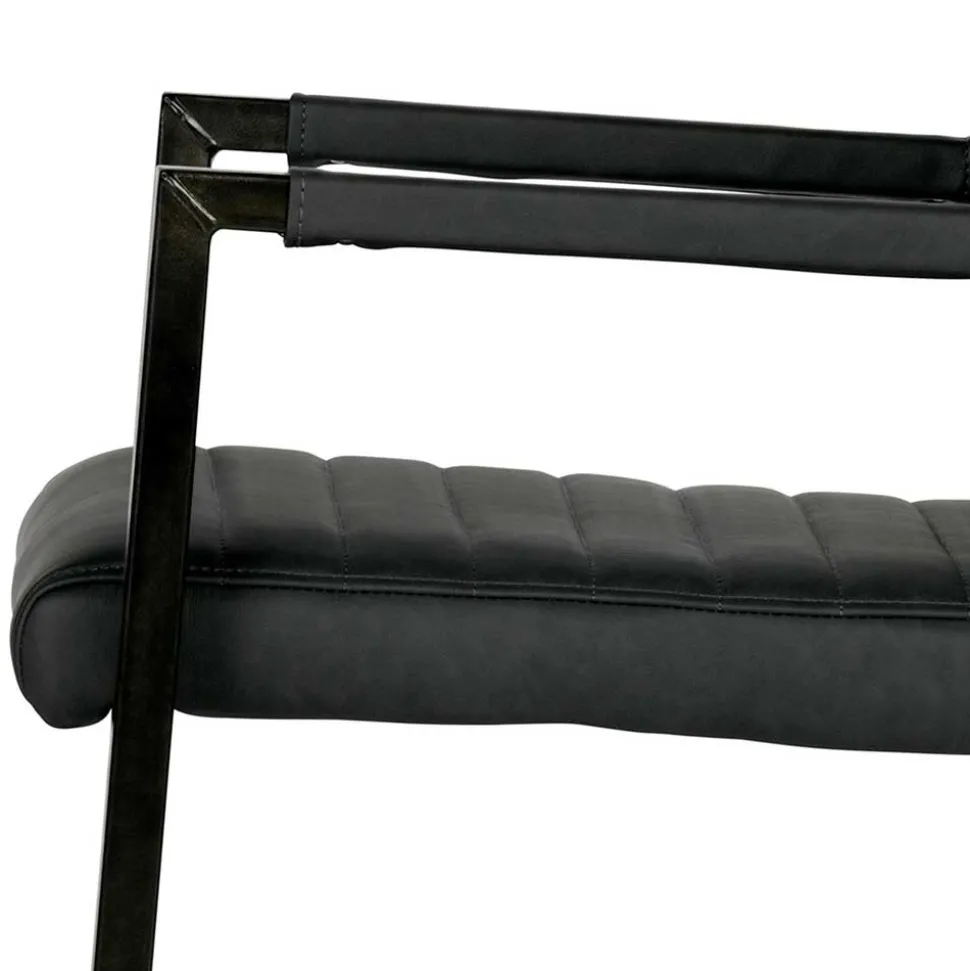 Armlehnen Freischwinger in Anthrazit - Birte (2er Set)