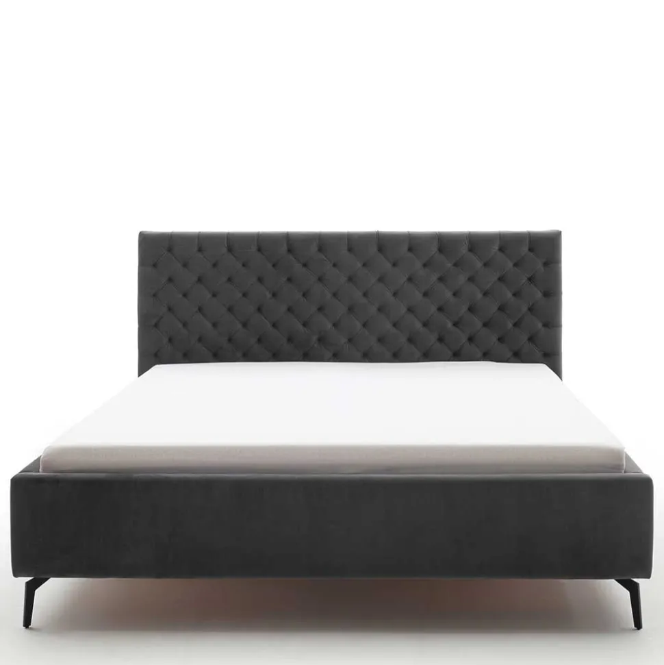 Chesterfield Samtbett in Anthrazit - Satos