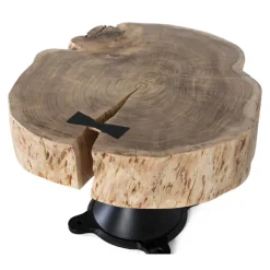 Couchtisch mit dicker Baumscheibe als Platte - Corgova