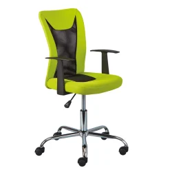 Design Bürostuhl in Hellgrün & Schwarz - Next