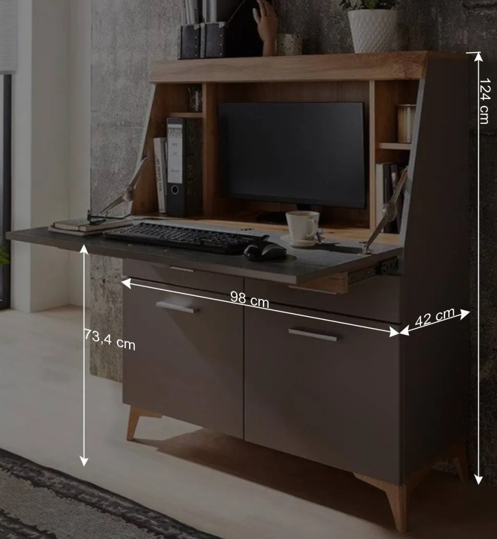 Design Sekretär in Grau & Eiche NB - Zella
