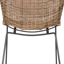 Design Stuhl Mevrinus aus Polyrattan (2er Set)