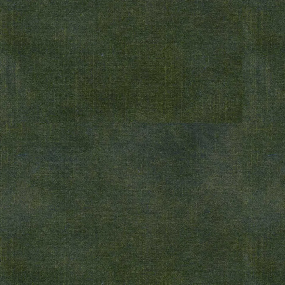 Designstuhl in Grün Material Mix - Hollabrunn (2er Set)