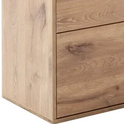 Dielenmöbel Kombination in Wildeiche - Vapposia (vierteilig)