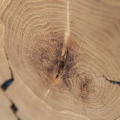 Eichenholz Highboard mit Hirnholz Applikation - Deruta