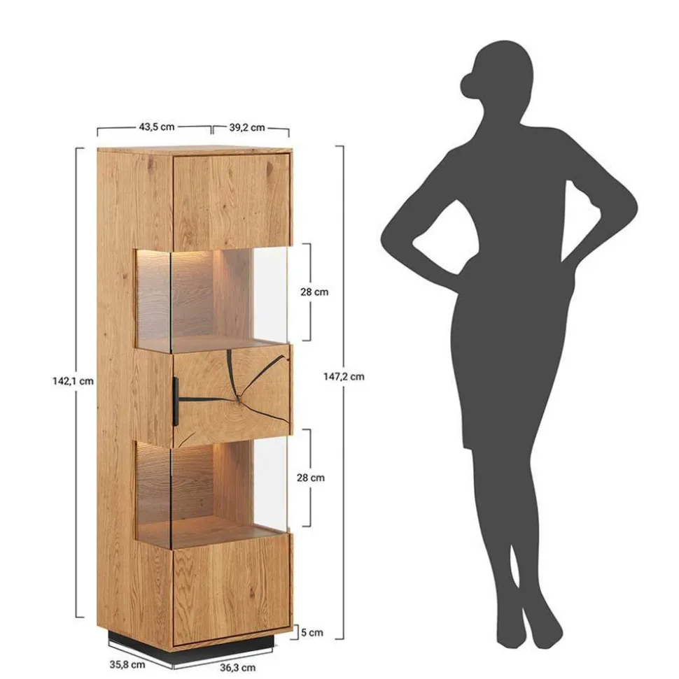 Eichenholz Vitrine mit Hirnholz Applikation - Deruta