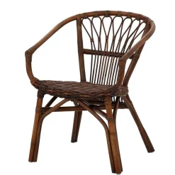 Esszimmer Rattanstuhl in Braun - Longford (2er Set)