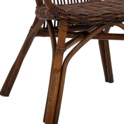 Esszimmer Rattanstuhl in Braun - Longford (2er Set)