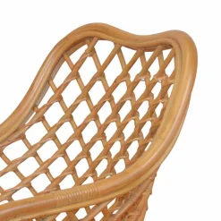 Esszimmerstuhl Ionella aus Rattan