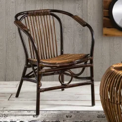 Esszimmerstuhl Onesty aus Rattan