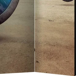 Faltbare Foto Trennwand mit Fantasy Motiv - Etterna