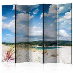 Faltbare Raum Trennwand mit Fotodruck - Zandraca