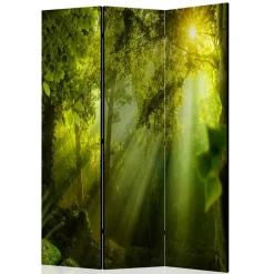 Faltbarer Paravent Wald & Sonne - Pulany