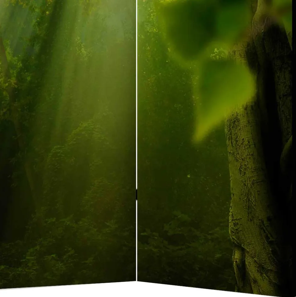 Faltbarer Paravent Wald & Sonne - Pulany