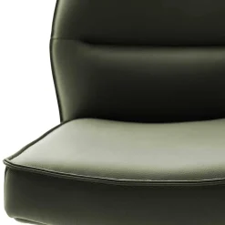 Federkern Lederstühle in Oliv Grün - Synfrunia (2er Set)