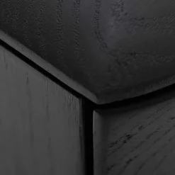 Fernsehtisch mit Klappen & Fach in Schwarz - Delavidu