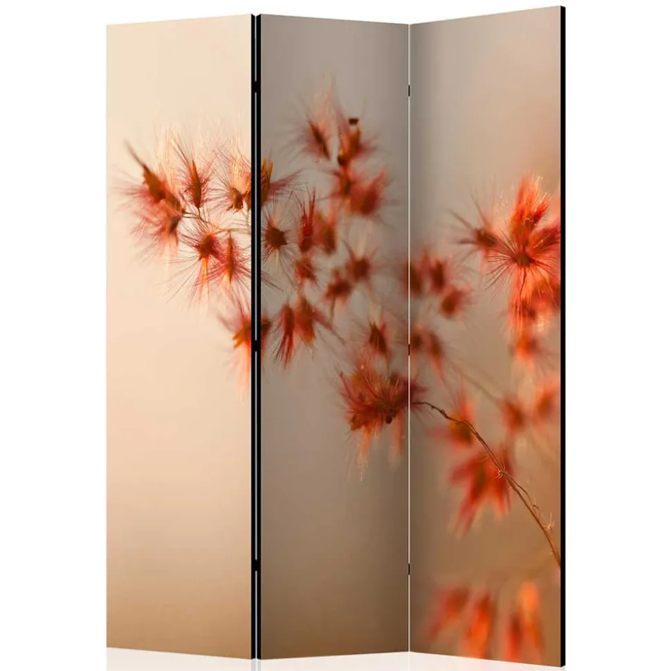 Foto Paravent mit Naturmotiv Gras Close Up - Kesska