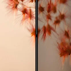 Foto Paravent mit Naturmotiv Gras Close Up - Kesska