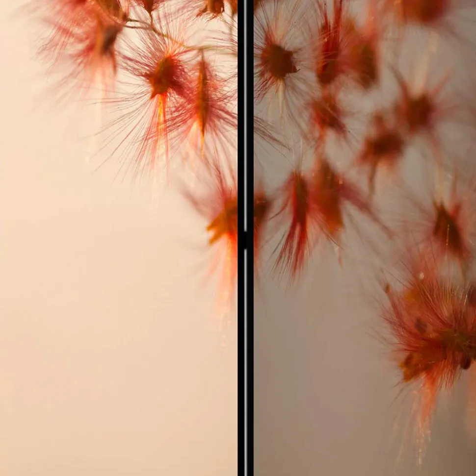 Foto Paravent mit Naturmotiv Gras Close Up - Kesska