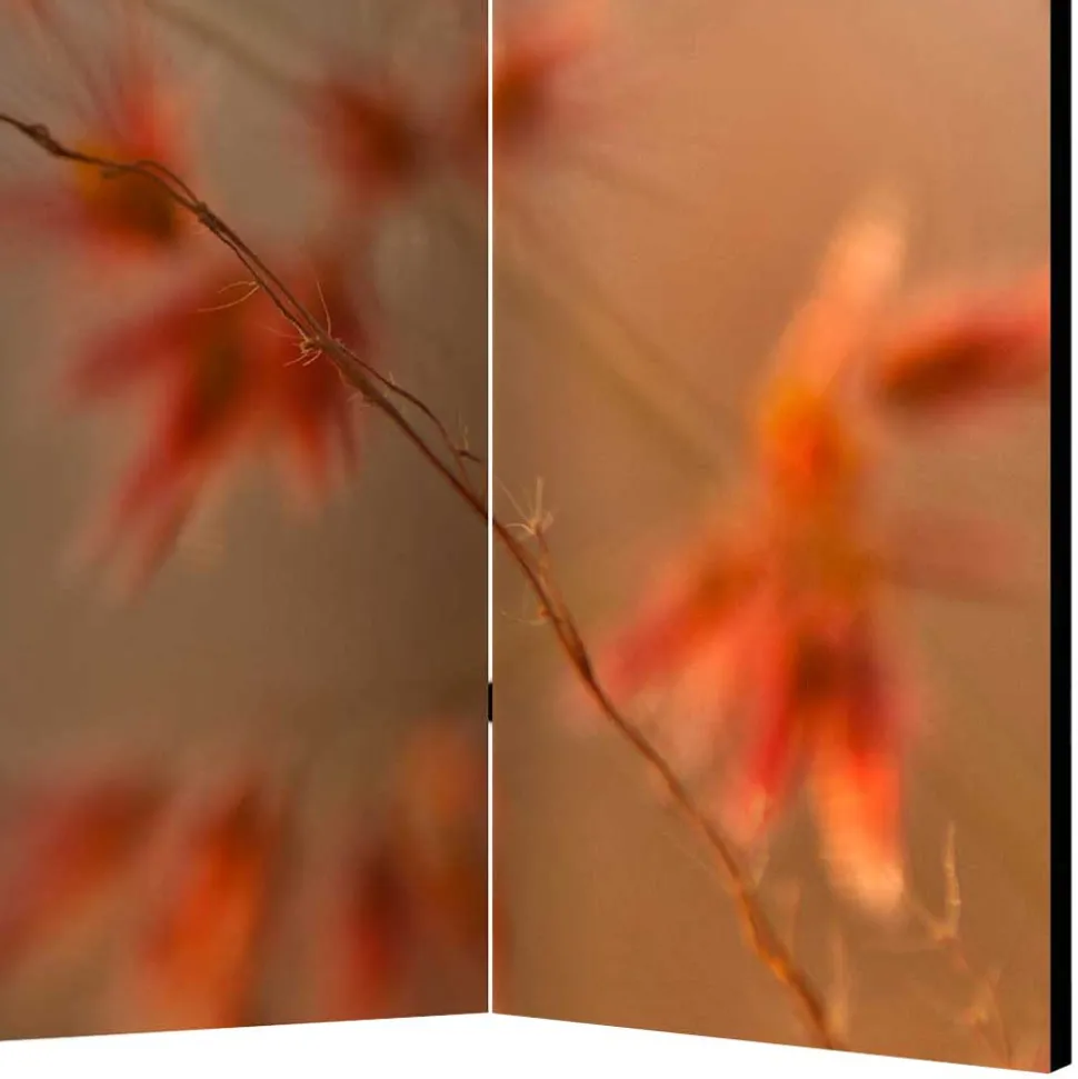 Foto Paravent mit Naturmotiv Gras Close Up - Kesska