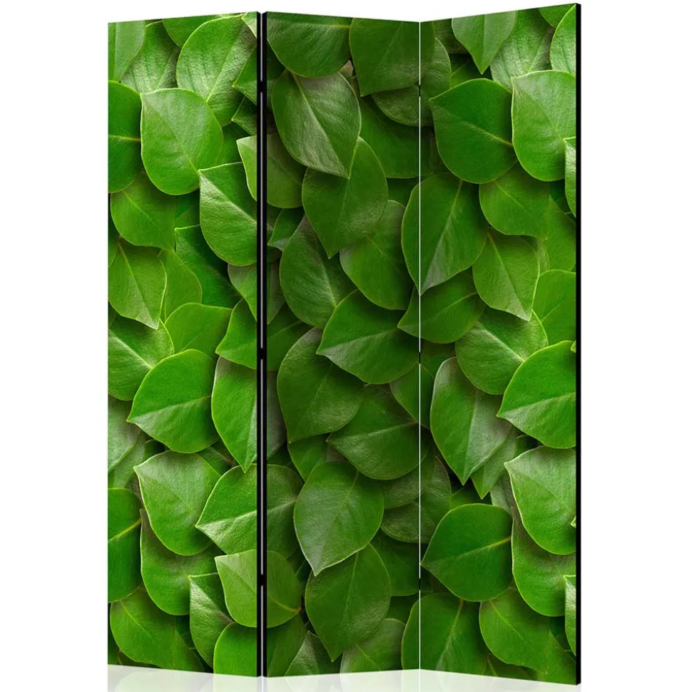 Foto Print Paravent mit Motiv Blätter - Latemar