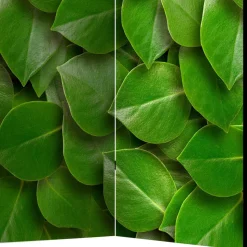 Foto Print Paravent mit Motiv Blätter - Latemar