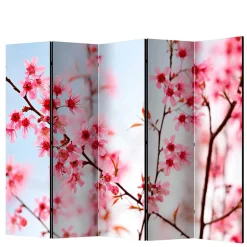 Foto Trennwand Kirschblüte in Rosa & Blau - Filler