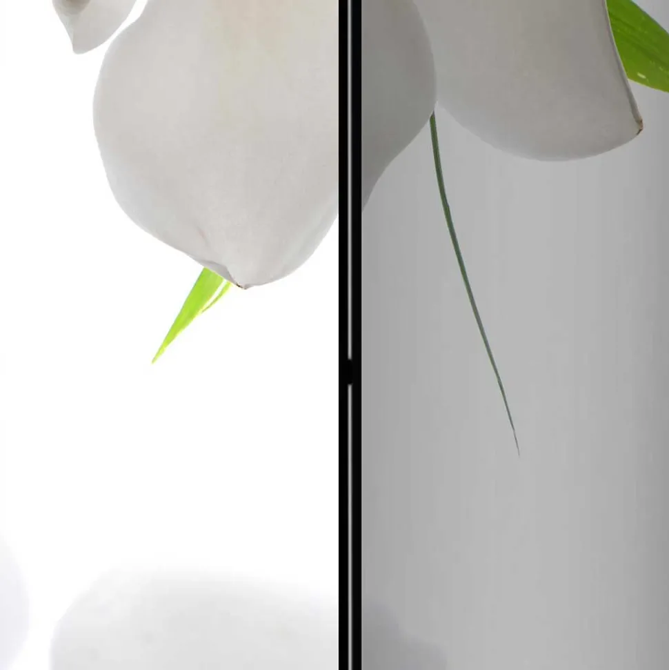 Foto Trennwand mit Asien / Zen Motiv - Siela