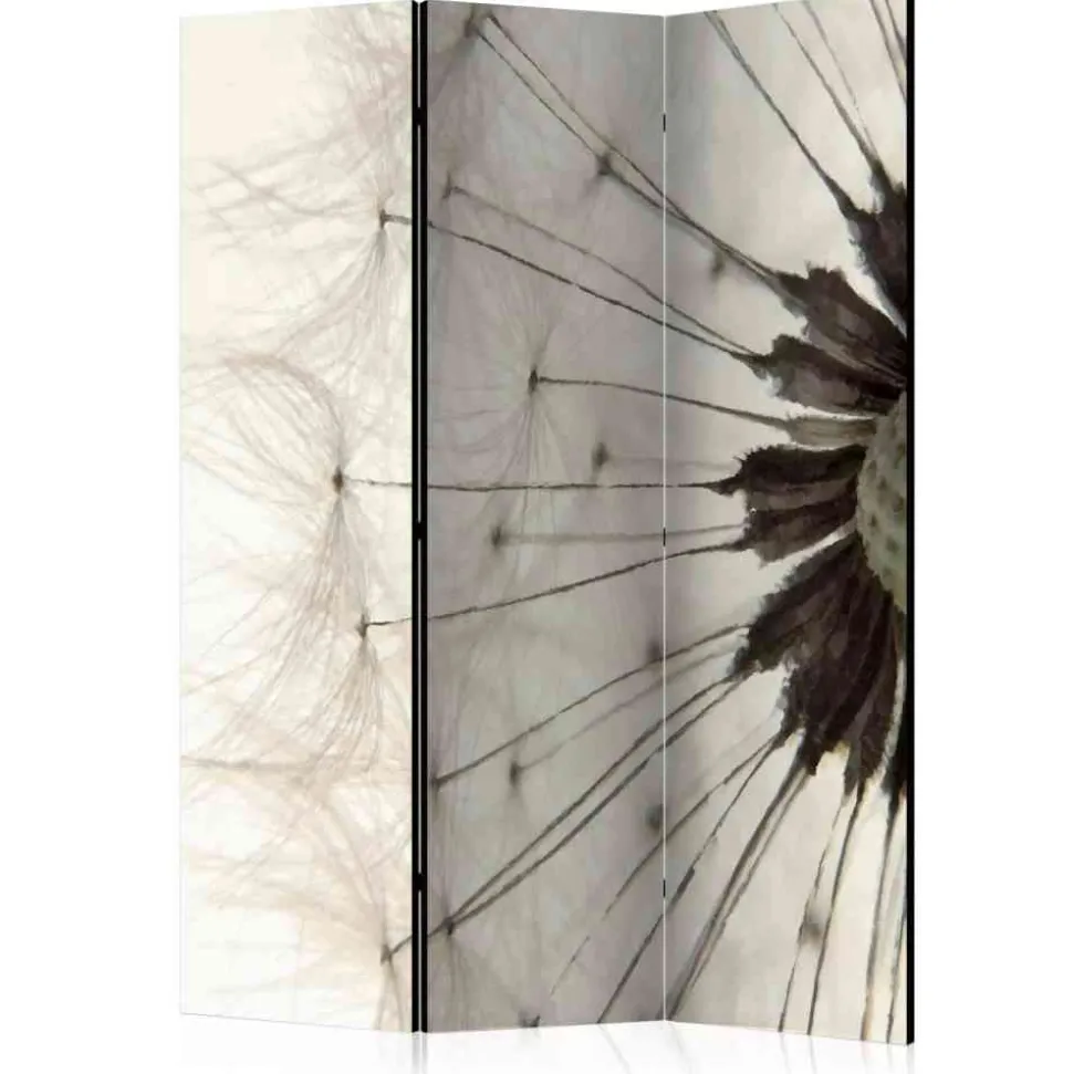 Foto Trennwand Nahaufnahme Pusteblume - Apulca