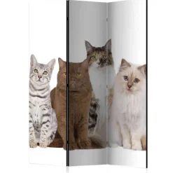 Fotodruck Paravent mit Katzen - Tresena