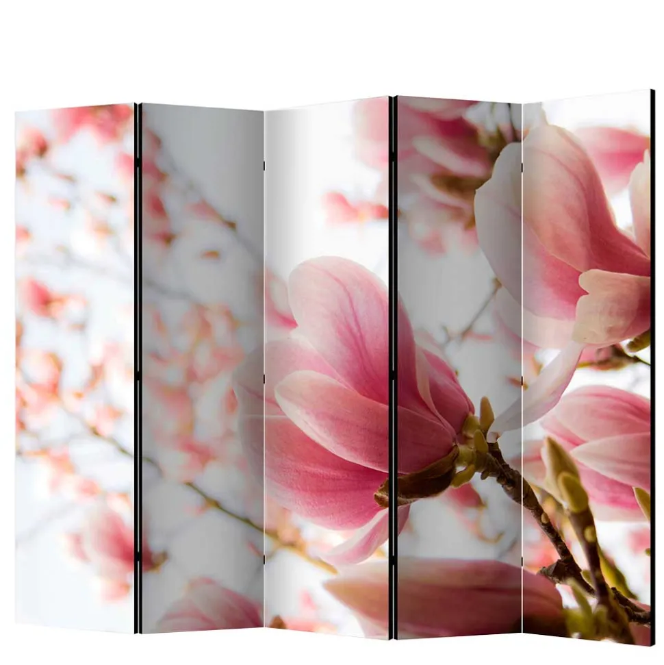 Fotodruck Paravent mit Motiv Pinke Magnolien - Amuting