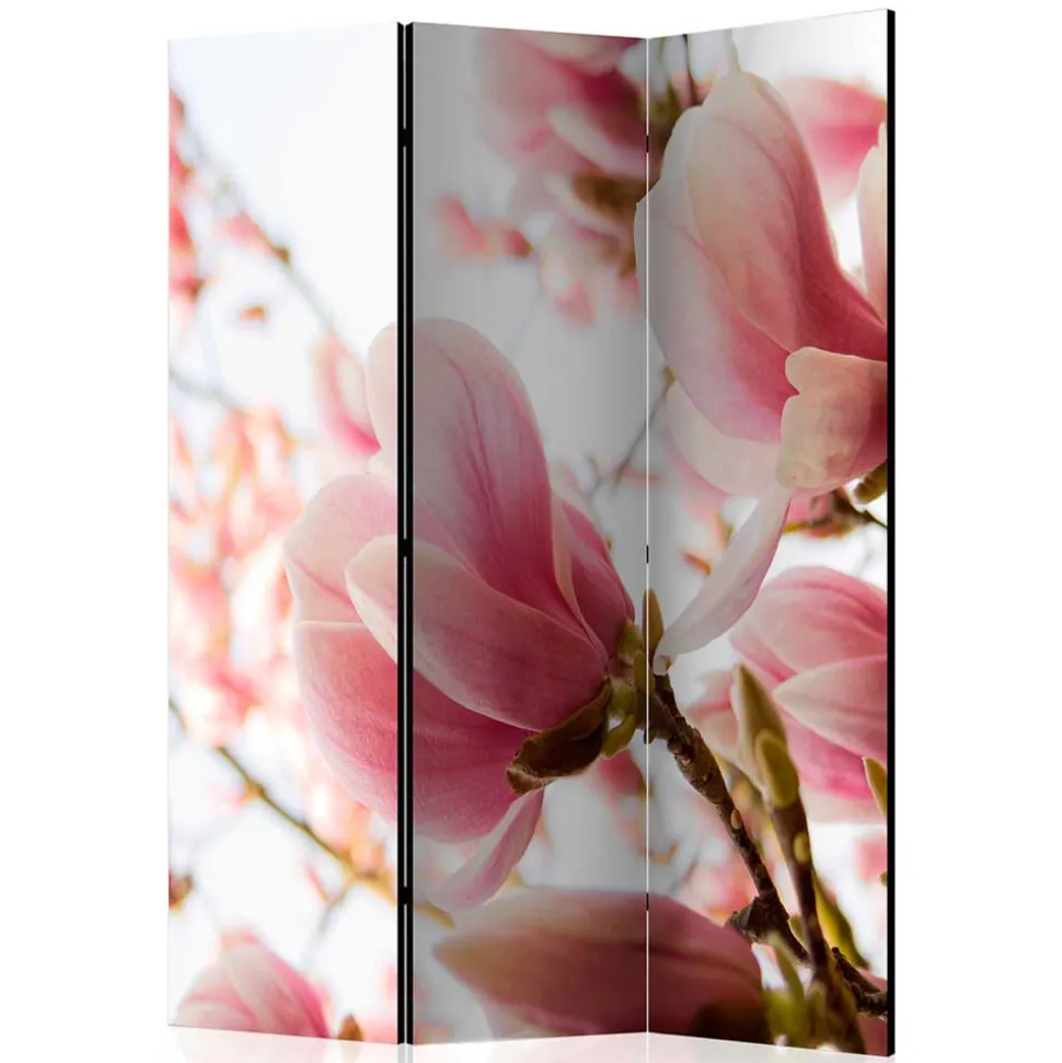 Fotodruck Paravent mit Motiv Pinke Magnolien - Amuting