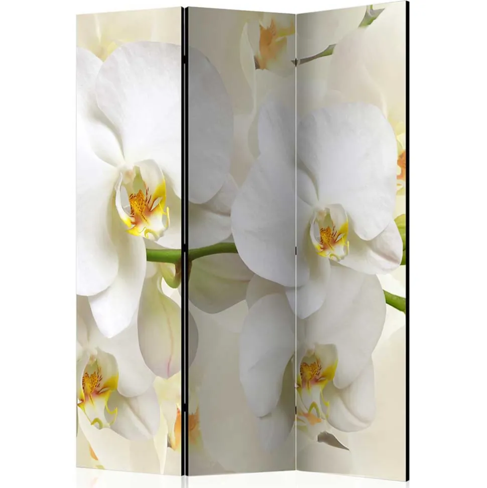 Fotoprint Leinwand Paravent Weiße Orchideen - Aury