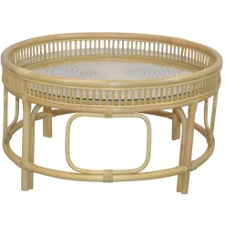Glas Wohnzimmertisch mit Rattan Gestell - Fidelphia