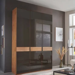 Glasfront-Schlafzimmerschrank in Dunkelbraun - Hung