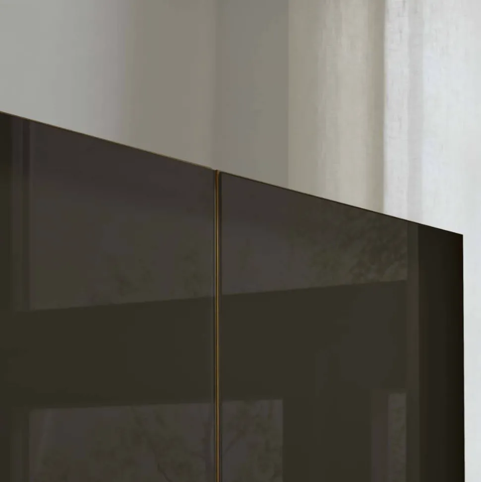 Glasfront-Schlafzimmerschrank in Dunkelbraun - Hung