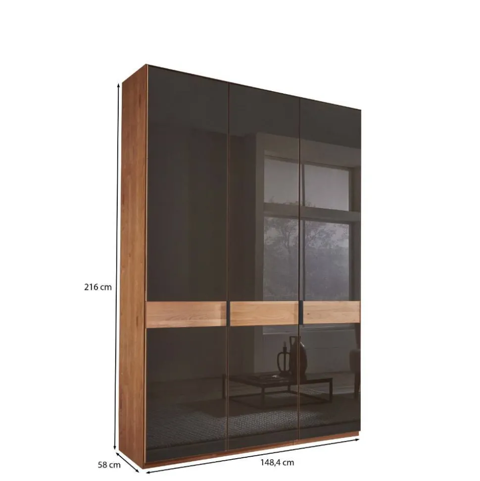 Glasfront-Schlafzimmerschrank in Dunkelbraun - Hung