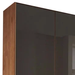 Glasfront-Schlafzimmerschrank in Dunkelbraun - Hung