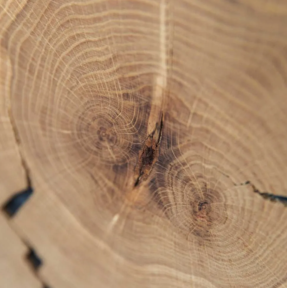 Highboard Vitrine aus Eiche und Glas - Masicuri