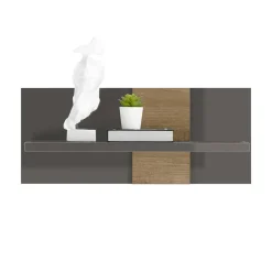 Hängeregal in Dunkelgrau Hochglanz & Eiche - Eracosta