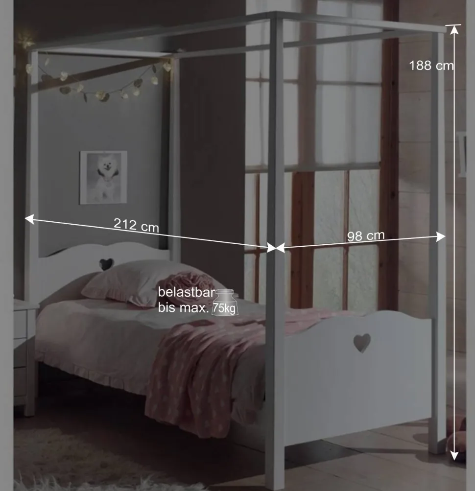 Jugendzimmer Möbel Set Grandory mit Himmelbett (dreiteilig)