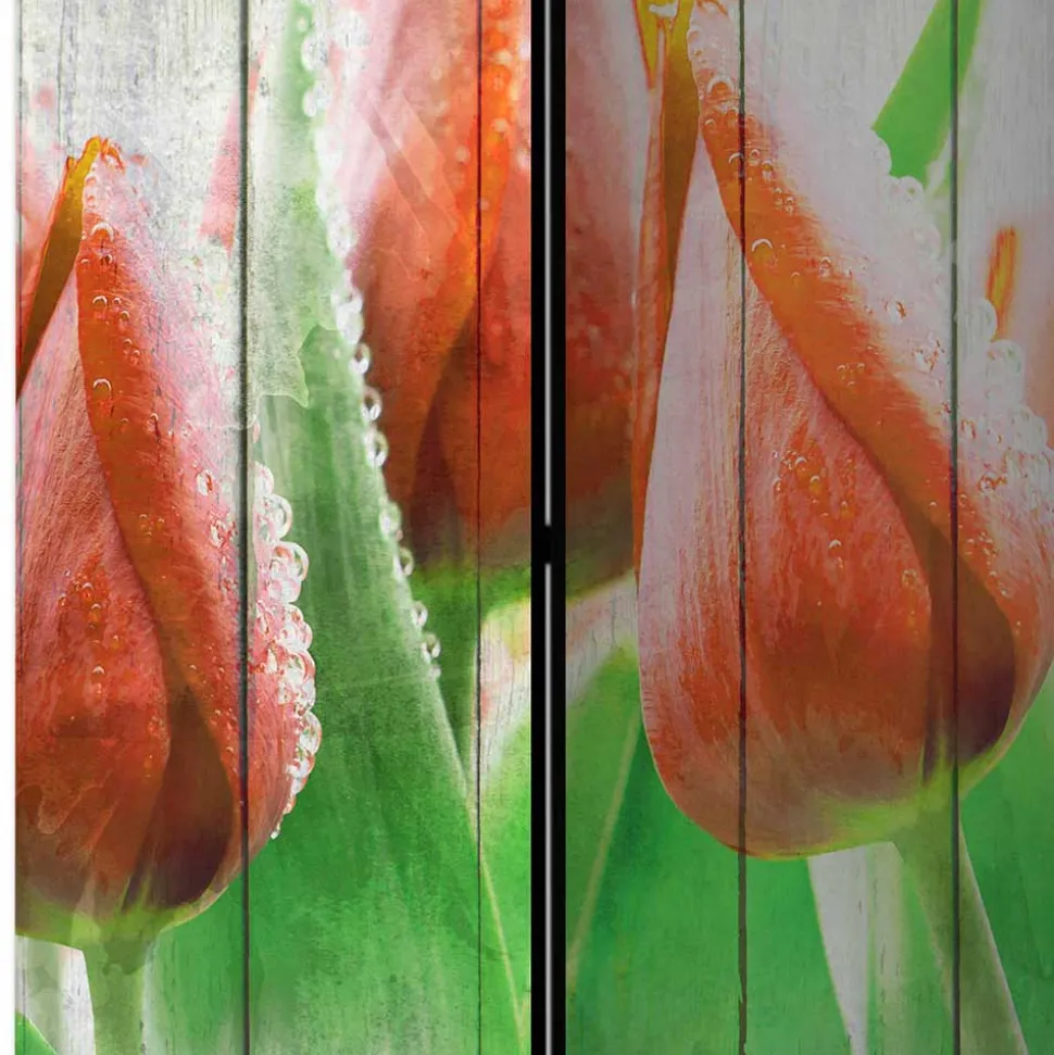 Kunstdruck Paravent Tulpen vor Holzwand - Filicudio