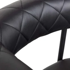 Kunstlederstühle in Schwarz - Austral (2er Set)