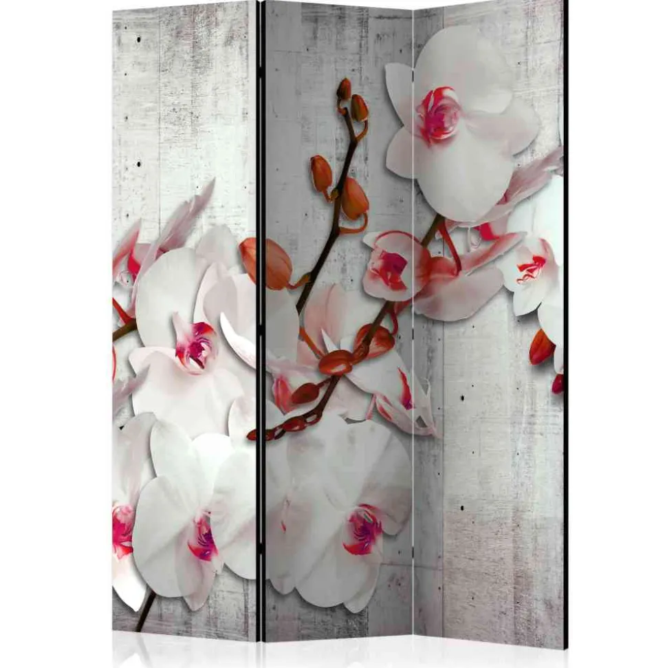 Leinwand Raumtrenner mit Orchideen - Younglo