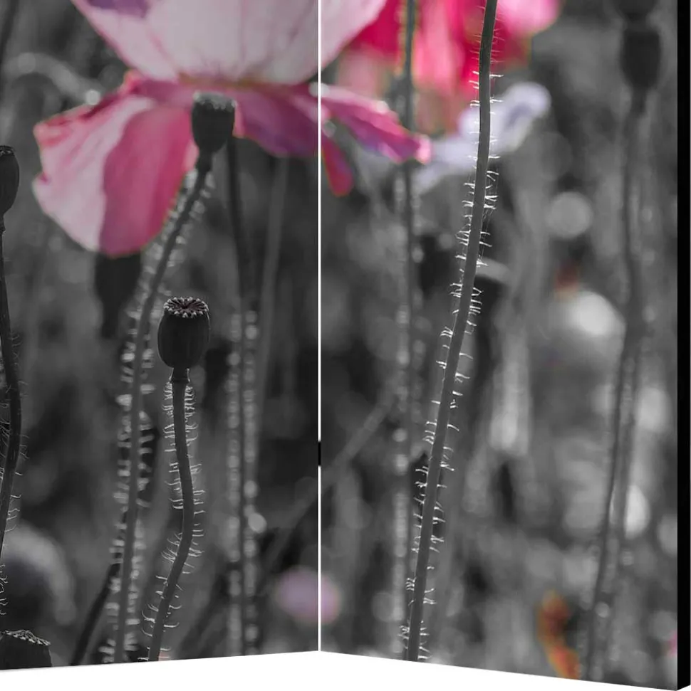 Mobiler Foto Raumtrenner mit Mohn Blumen Motiv - Conwy