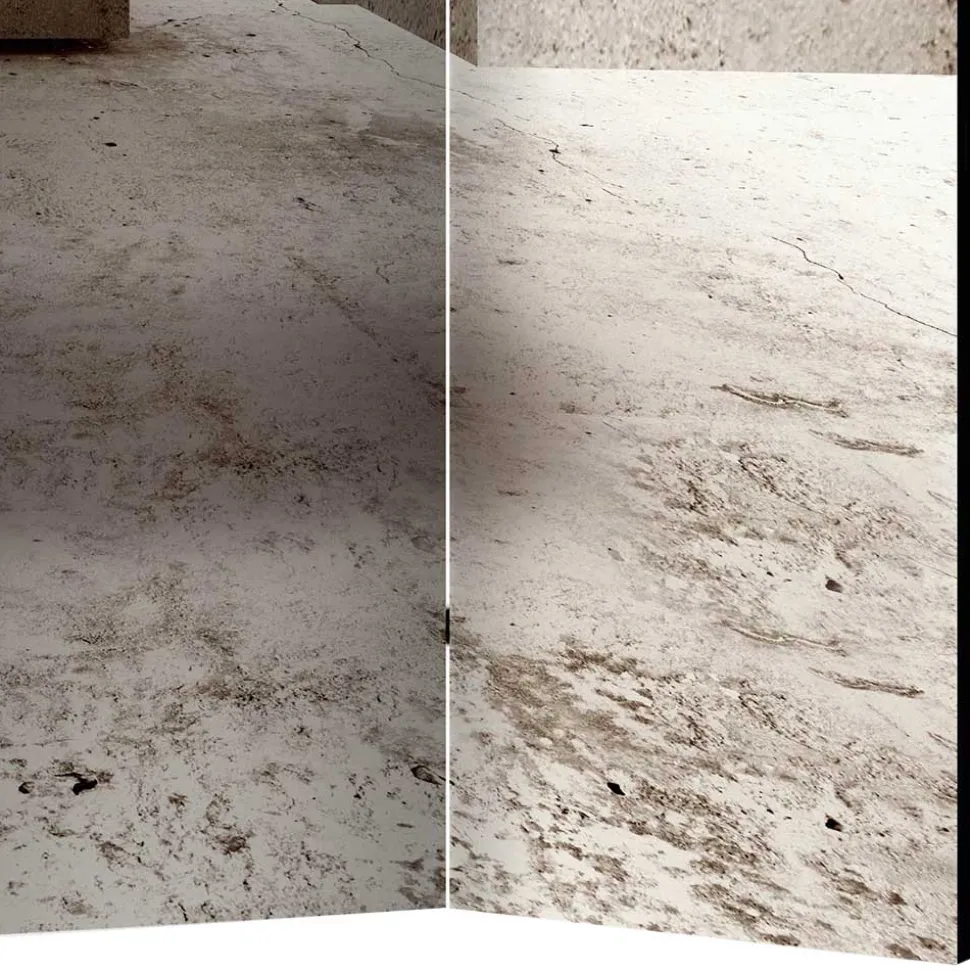 Moderner Paravent mit Druck in Hellbraun Grau - Genza