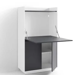 Moderner Sekretär in Weiß und Anthrazit - Exotica