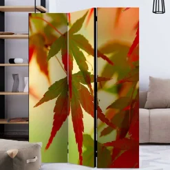 Paravent mit Fotodruck Fächerahorn Blätter - Kasaryn