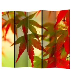 Paravent mit Fotodruck Fächerahorn Blätter - Kasaryn
